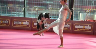 presentación de baile