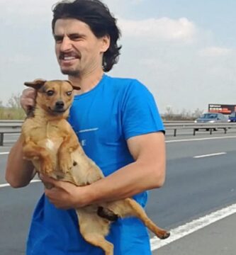 Veterianario-rescata-perrita-en-la-carretera