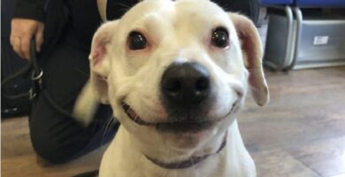 hermosa sonrisa